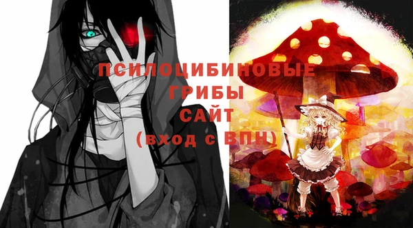 прущие крисы Переславль-Залесский
